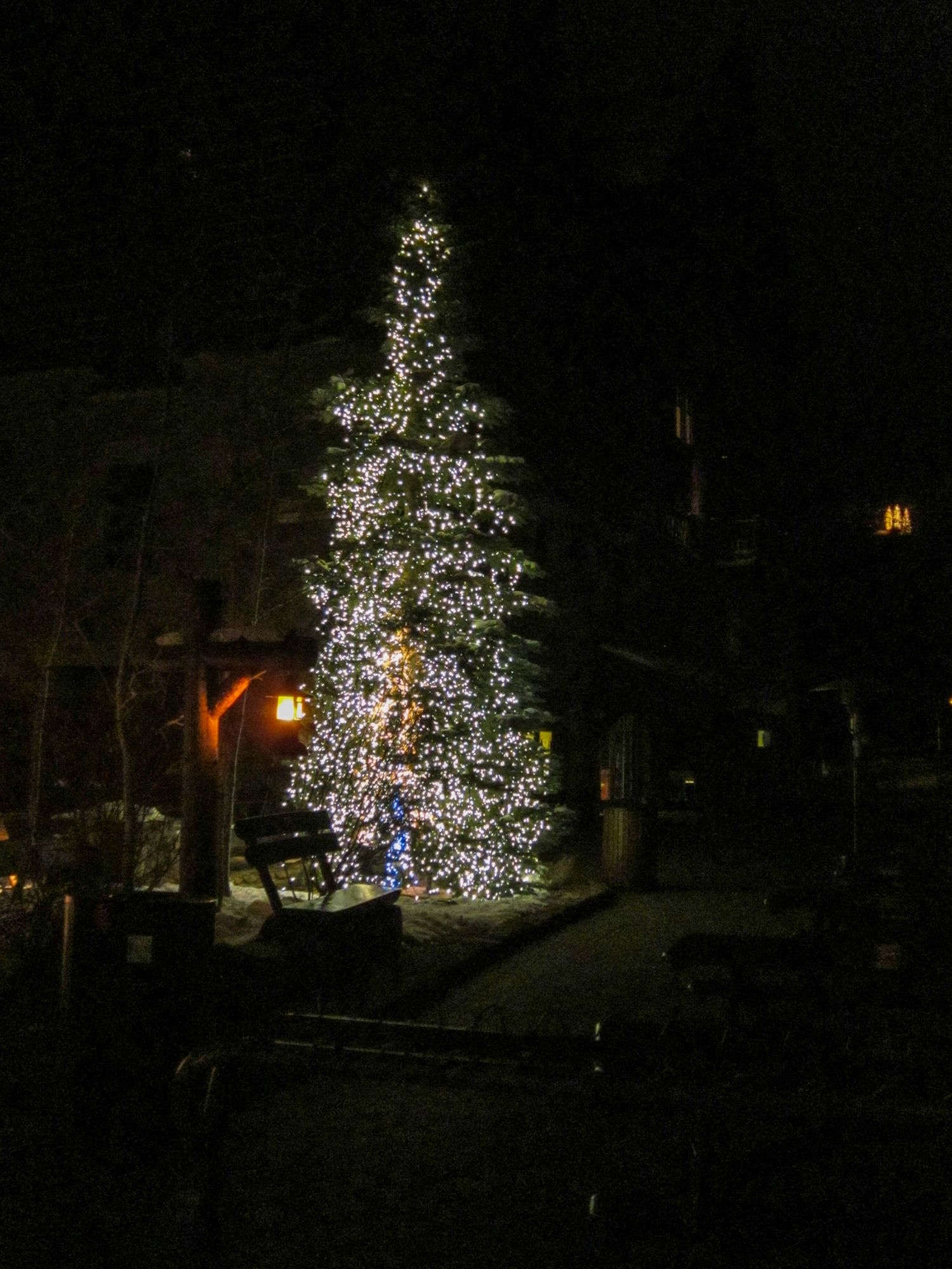 2010 Beaver Creek 31